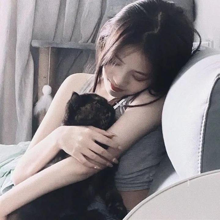 飞屋环游记
